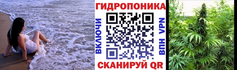 закладка  MEGA онион  Шишки марихуана Amnesia  Калининград 